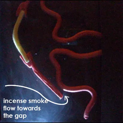 how incense smoke bypass totobobo filter