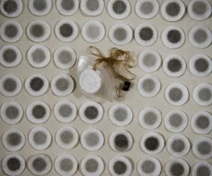 air pollution captured on the Totobobo filters ovewr a three months period.